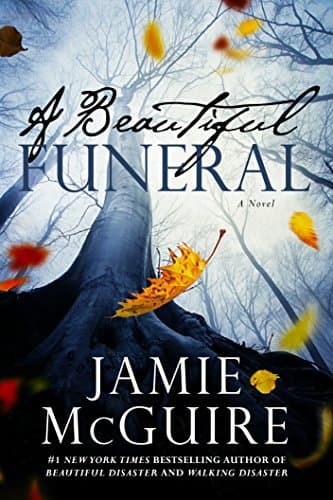 A Beautiful Funeral book cover