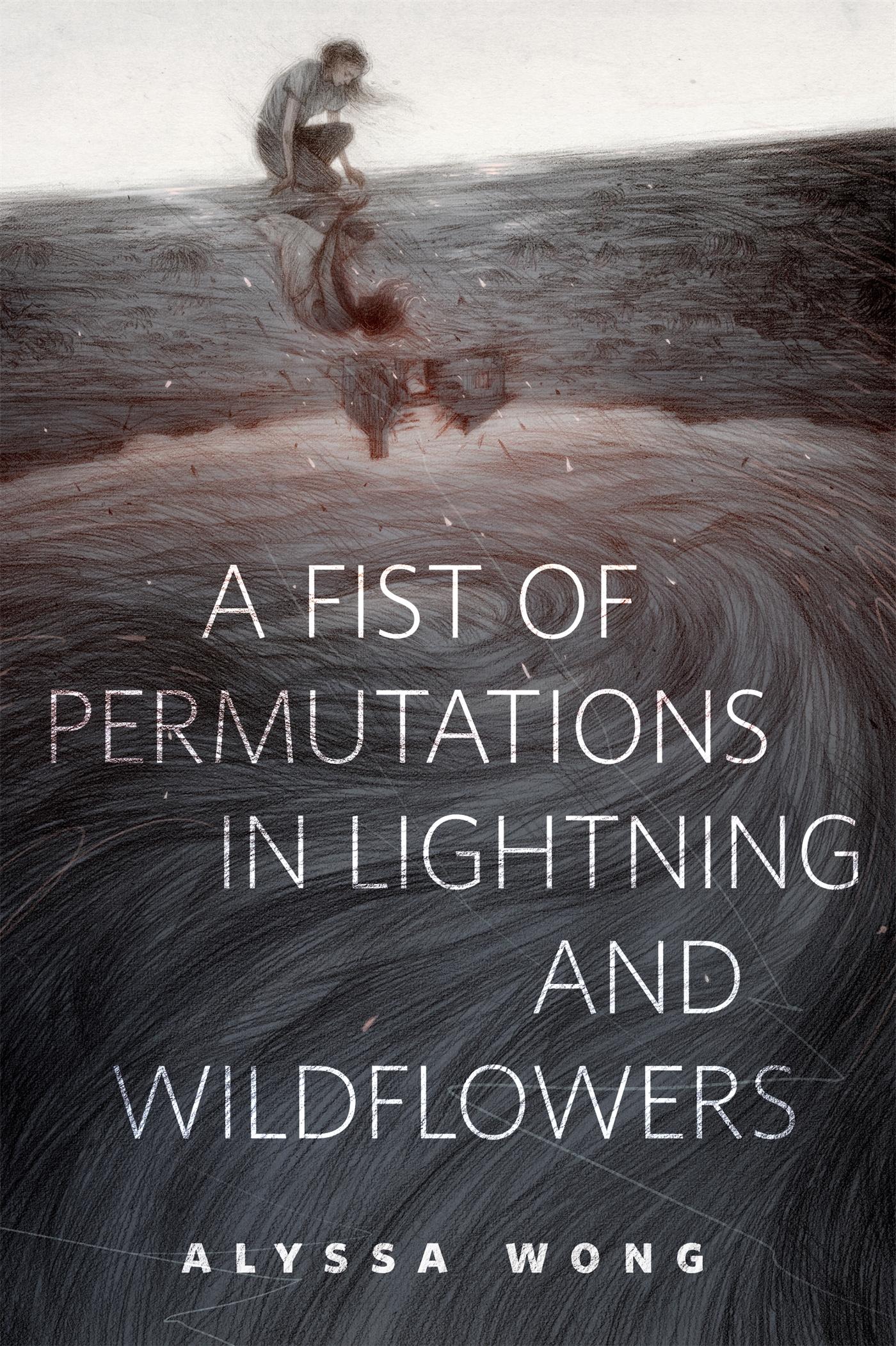 A Fist of Permutations in Lightning and Wildflowers book cover