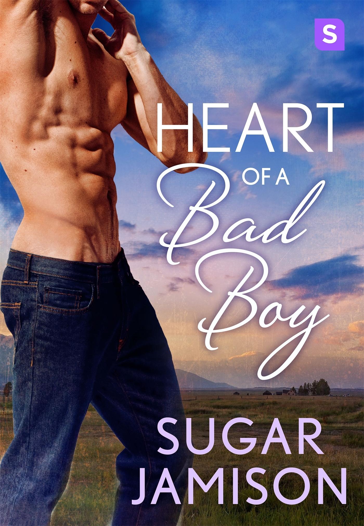 Heart of a Bad Boy book cover