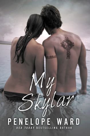 Series Book Cover Preview