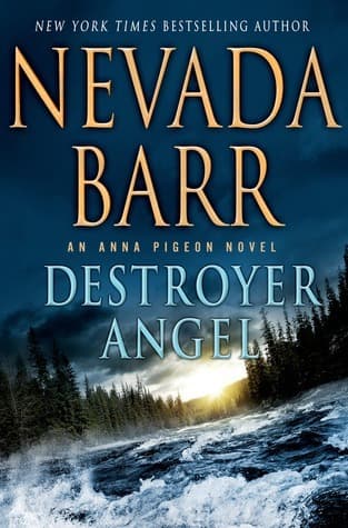 Destroyer Angel book cover