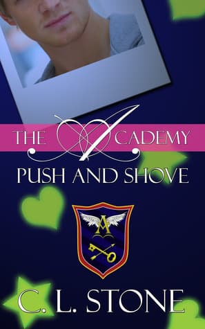 Push and Shove book cover