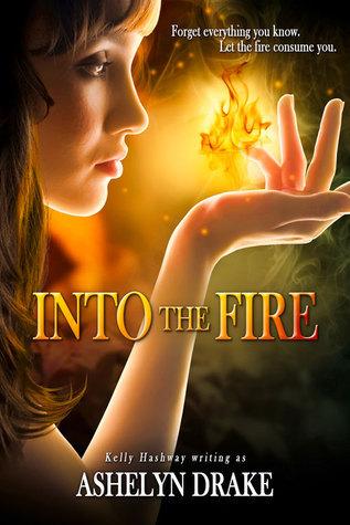 Into The Fire book cover