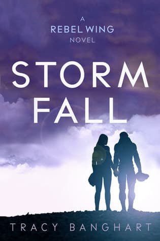 Storm Fall book cover