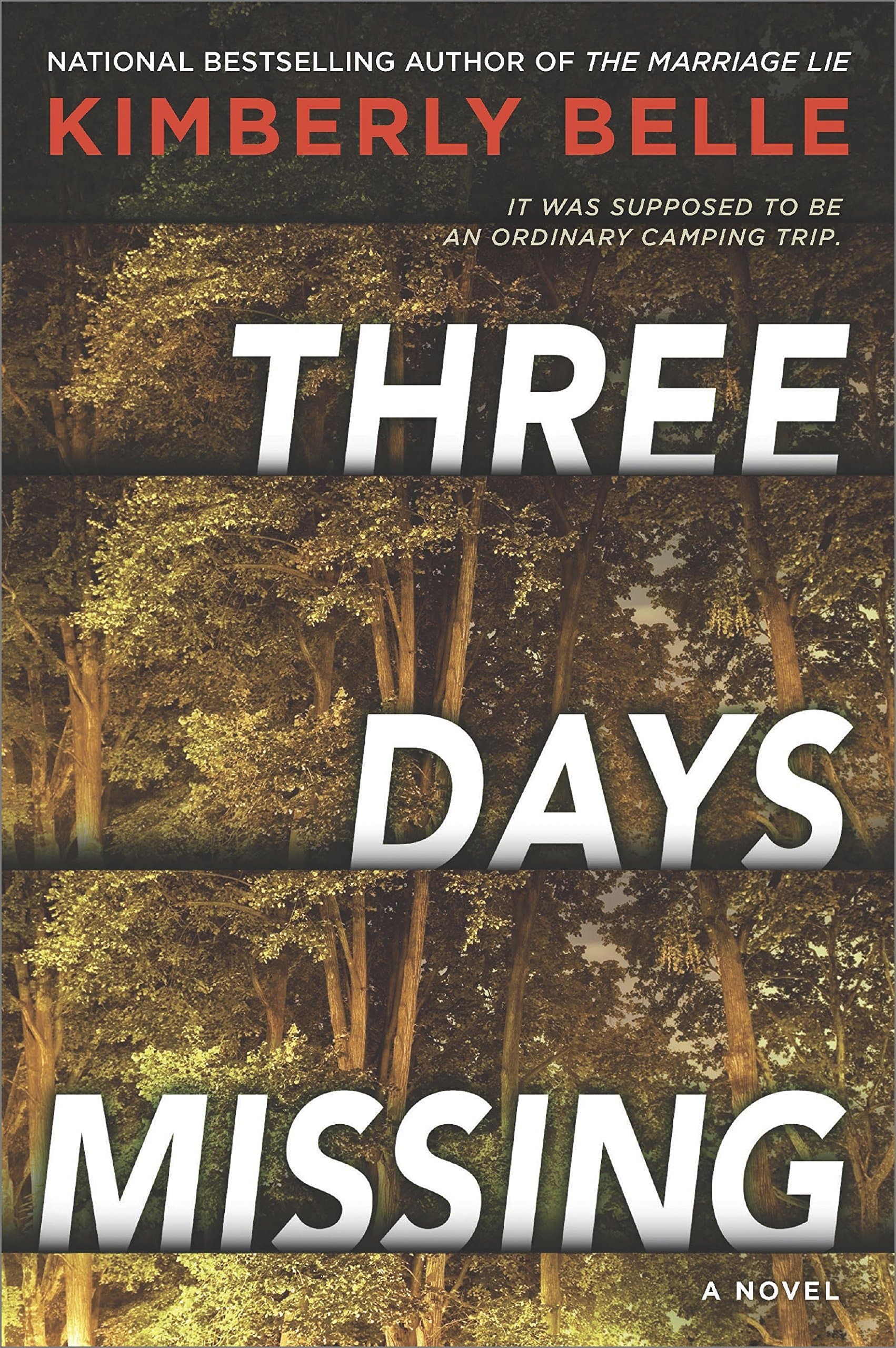 Three Days Missing book cover