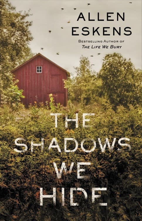 The Shadows We Hide book cover