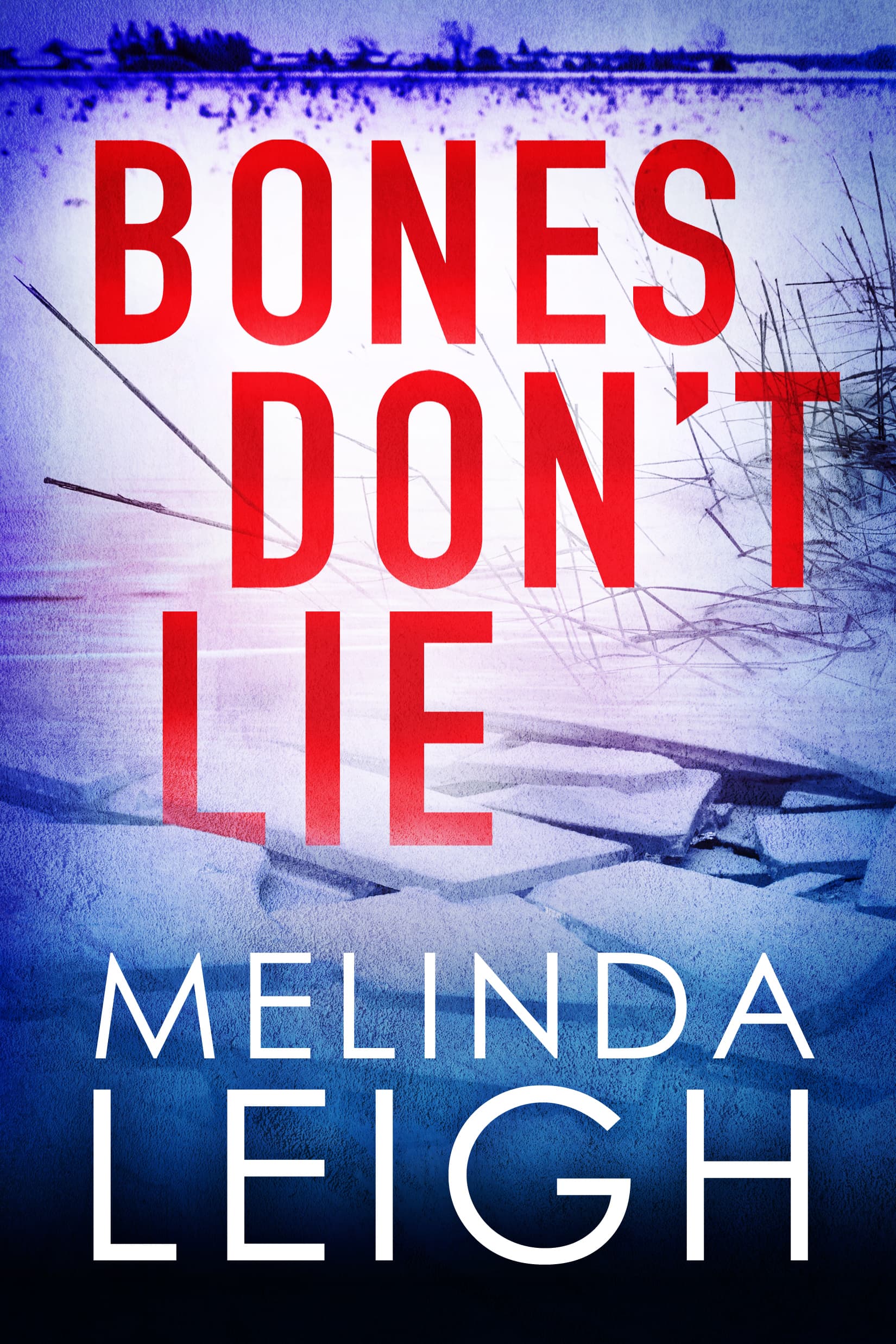 Bones Don't Lie book cover