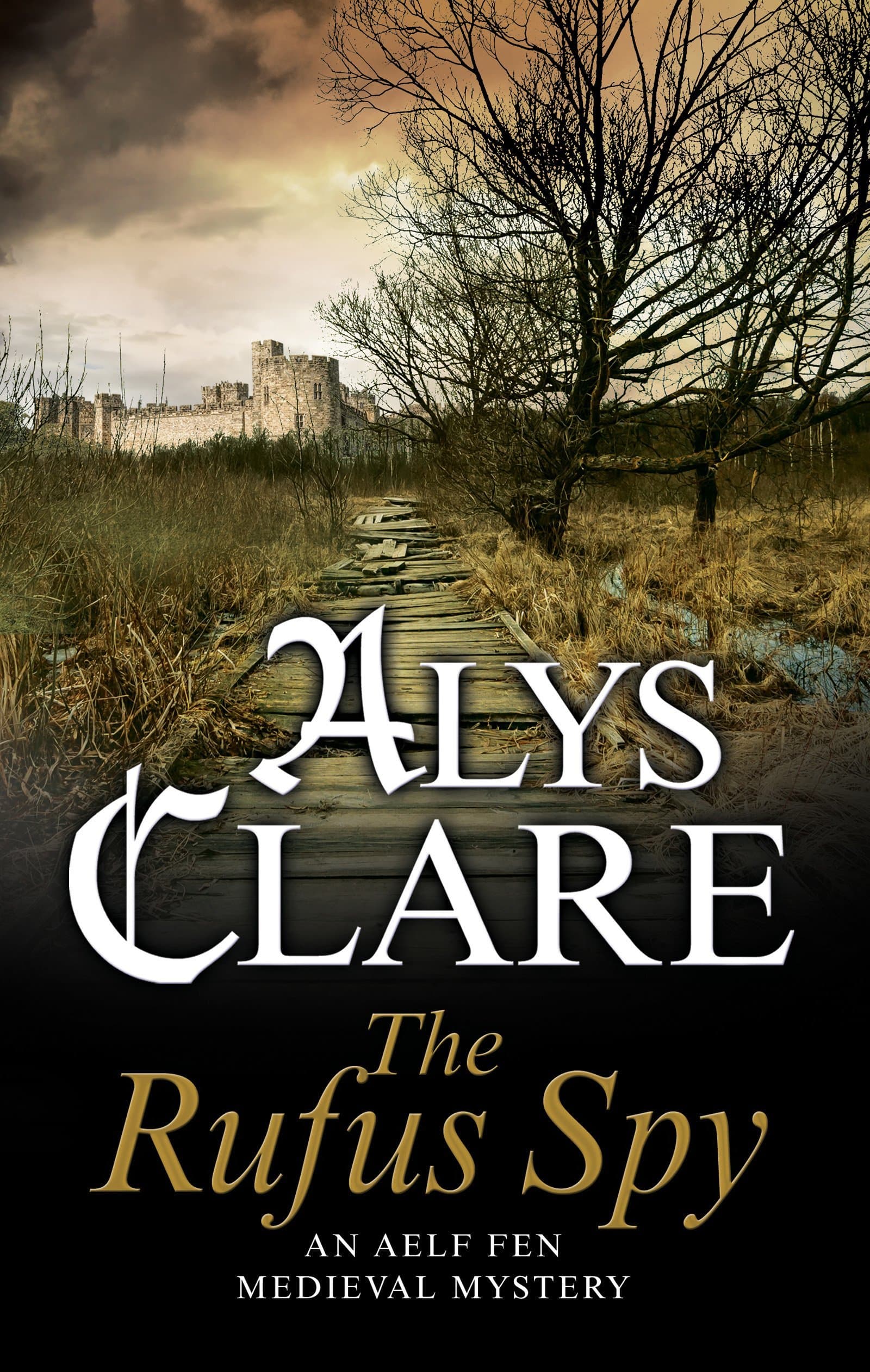 The Rufus Spy book cover