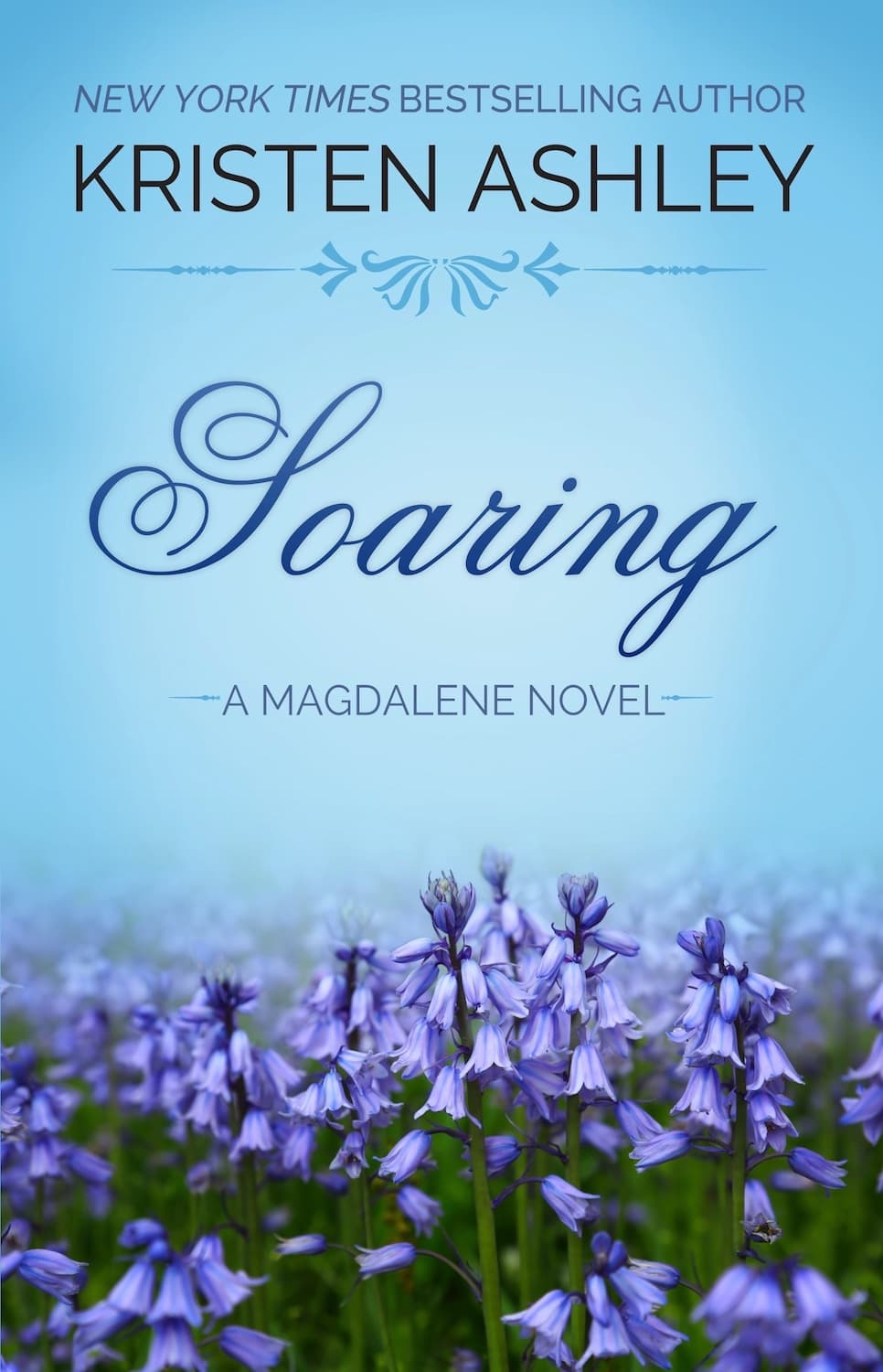 Soaring book cover