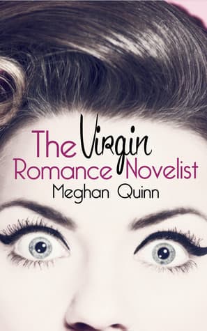 The Virgin Romance Novelist book cover