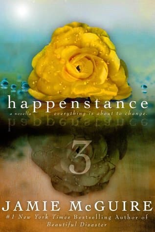 Happenstance 3 book cover