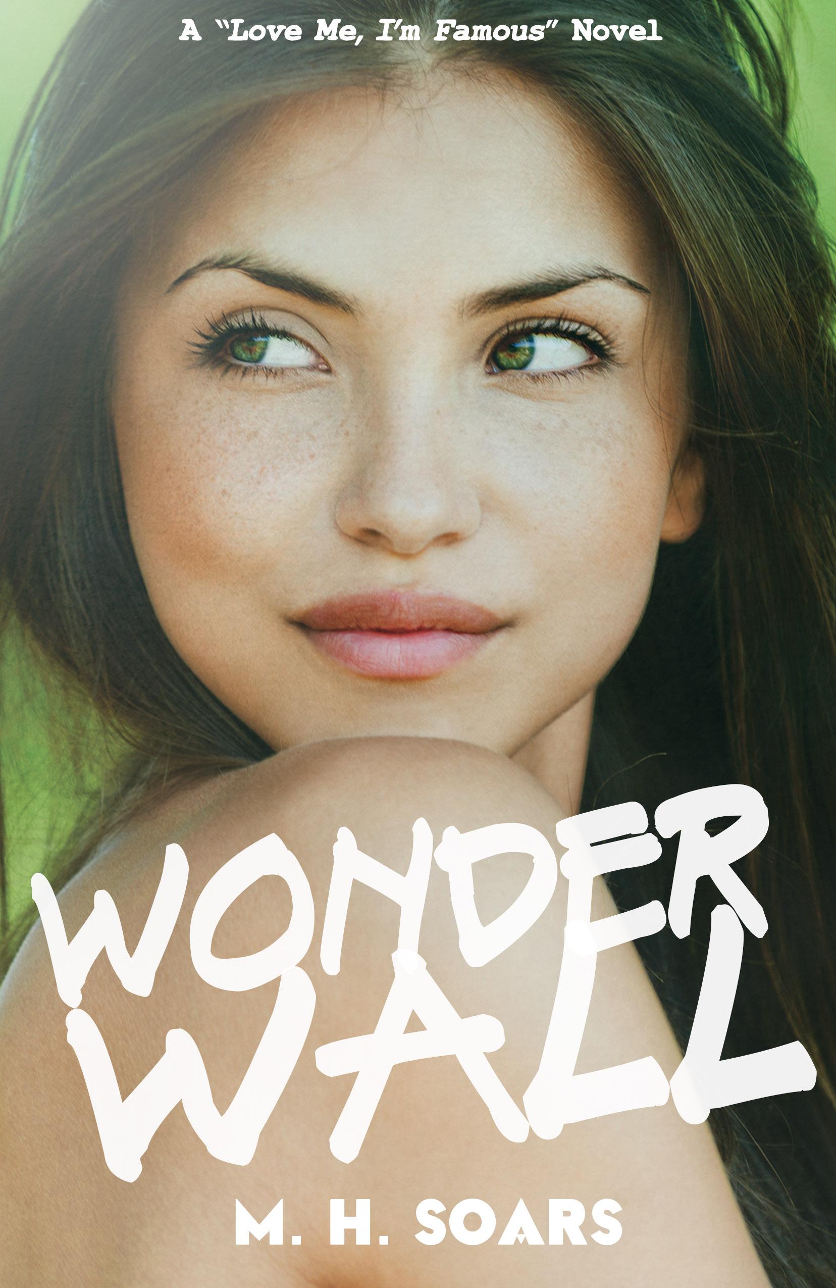 Wonderwall book cover