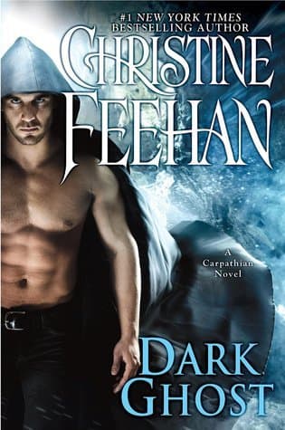 Dark Ghost book cover