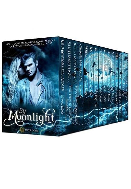 By Moonlight book cover