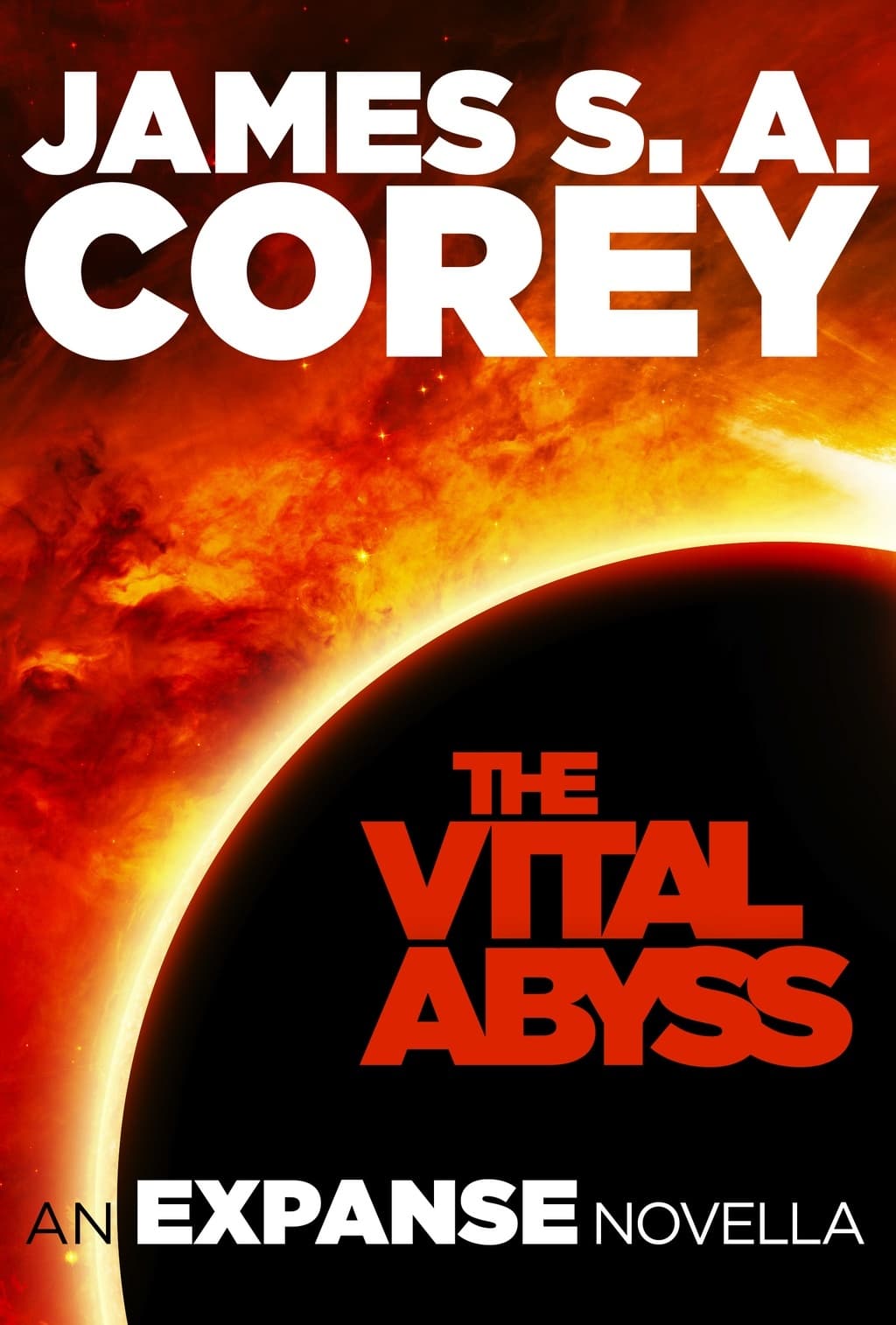 The Vital Abyss book cover