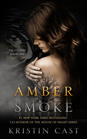 Amber Smoke book cover