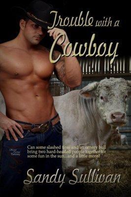 Trouble With A Cowboy