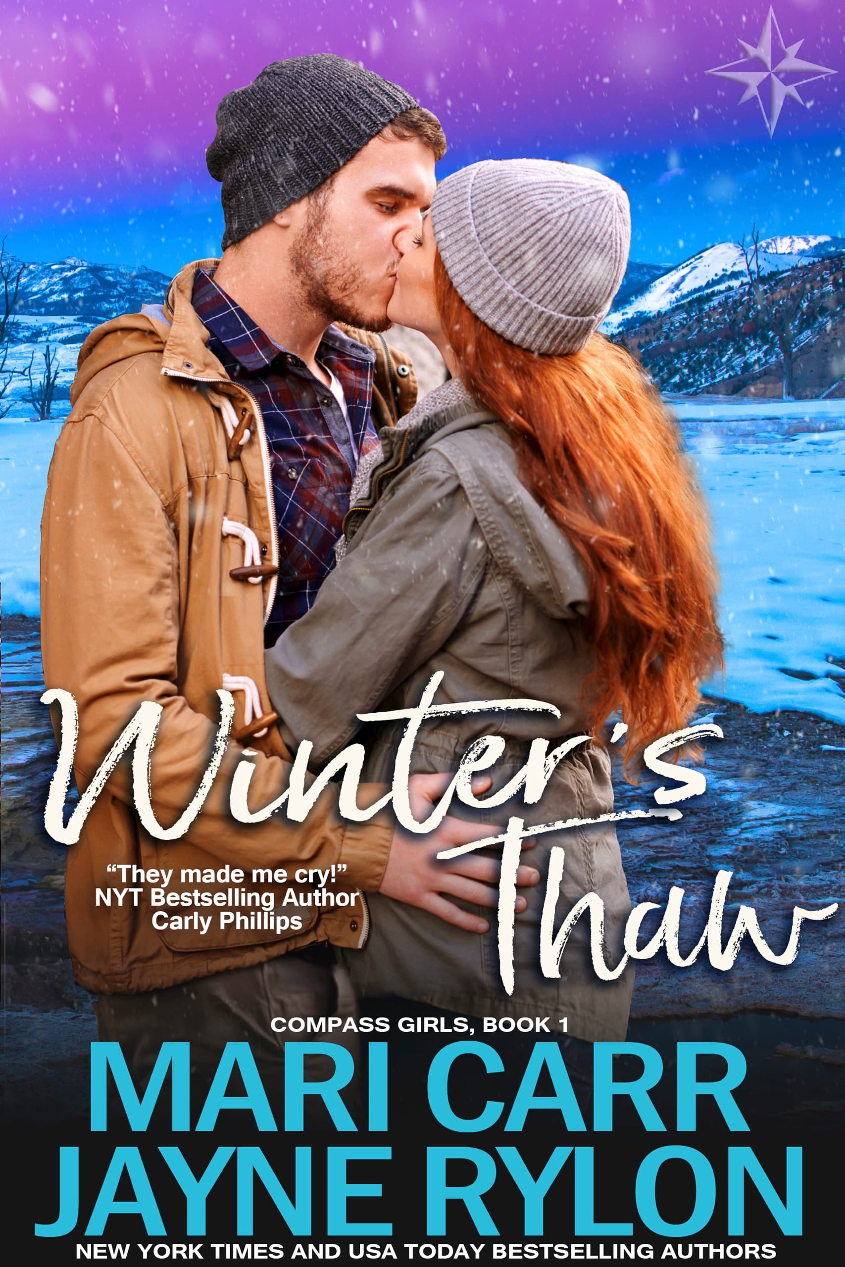 Winter's Thaw book cover