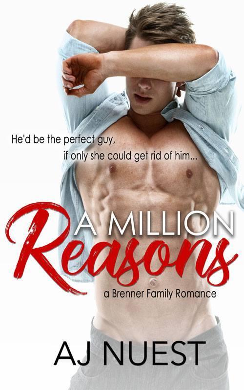 A Million Reasons book cover