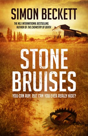 Stone Bruises book cover