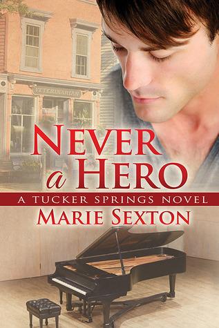 Never a Hero book cover