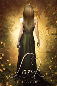 Series Book Cover Preview