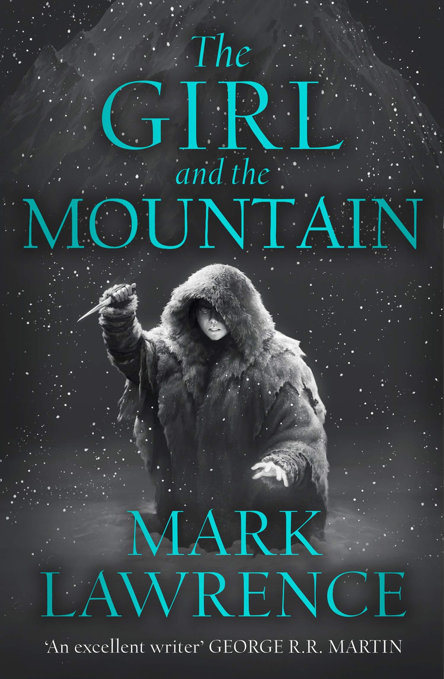 The Girl and the Mountain book cover