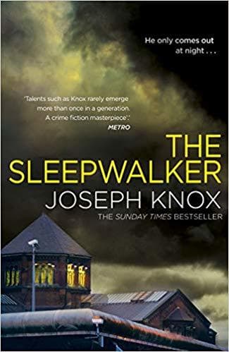 The Sleepwalker book cover