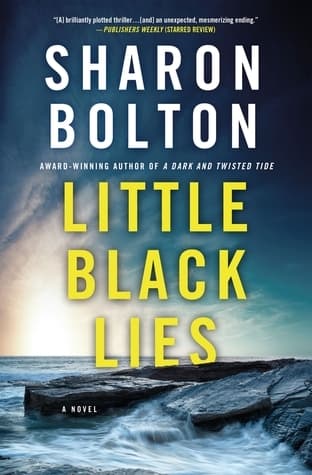 Little Black Lies book cover