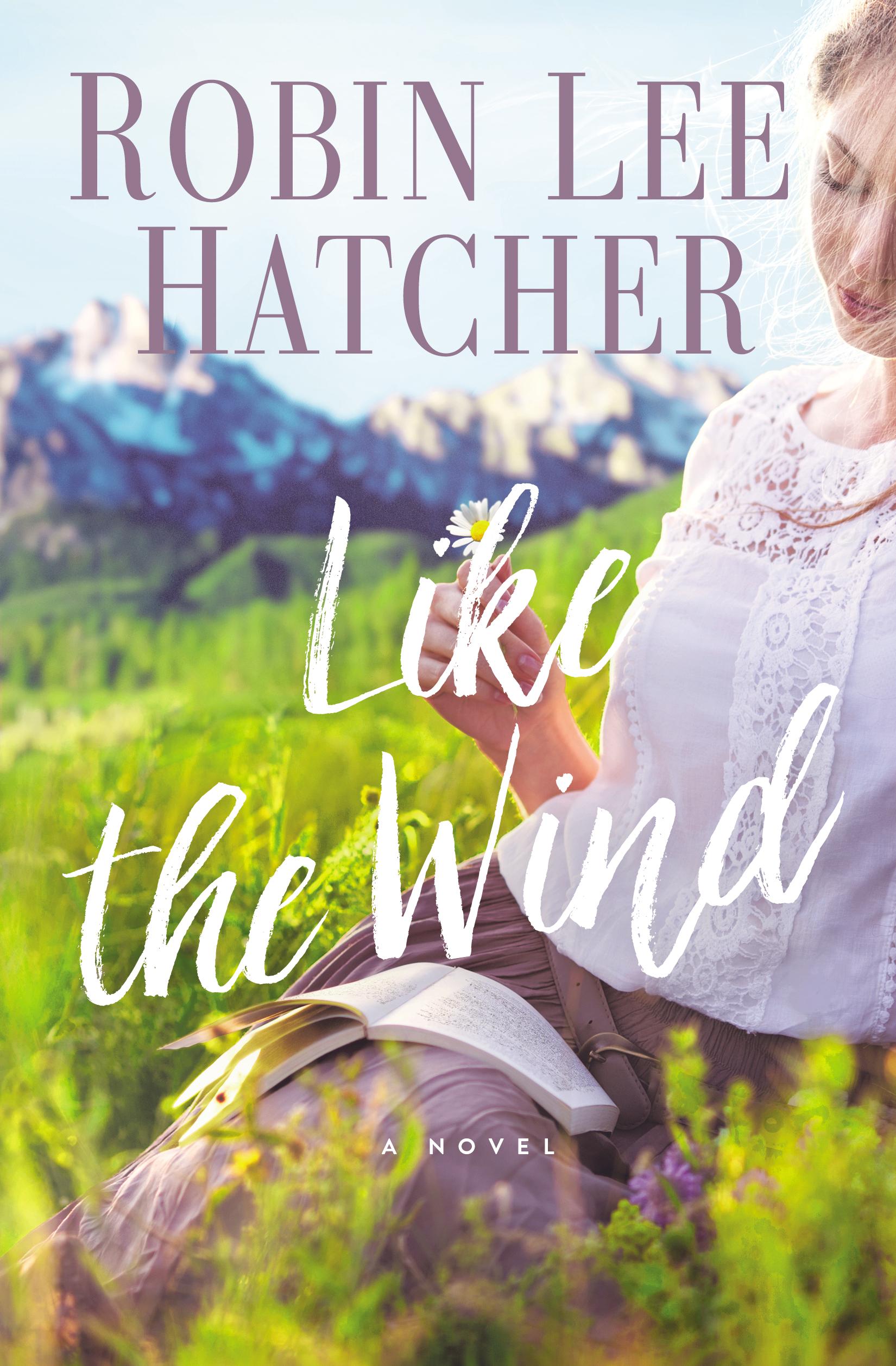 Like the Wind book cover