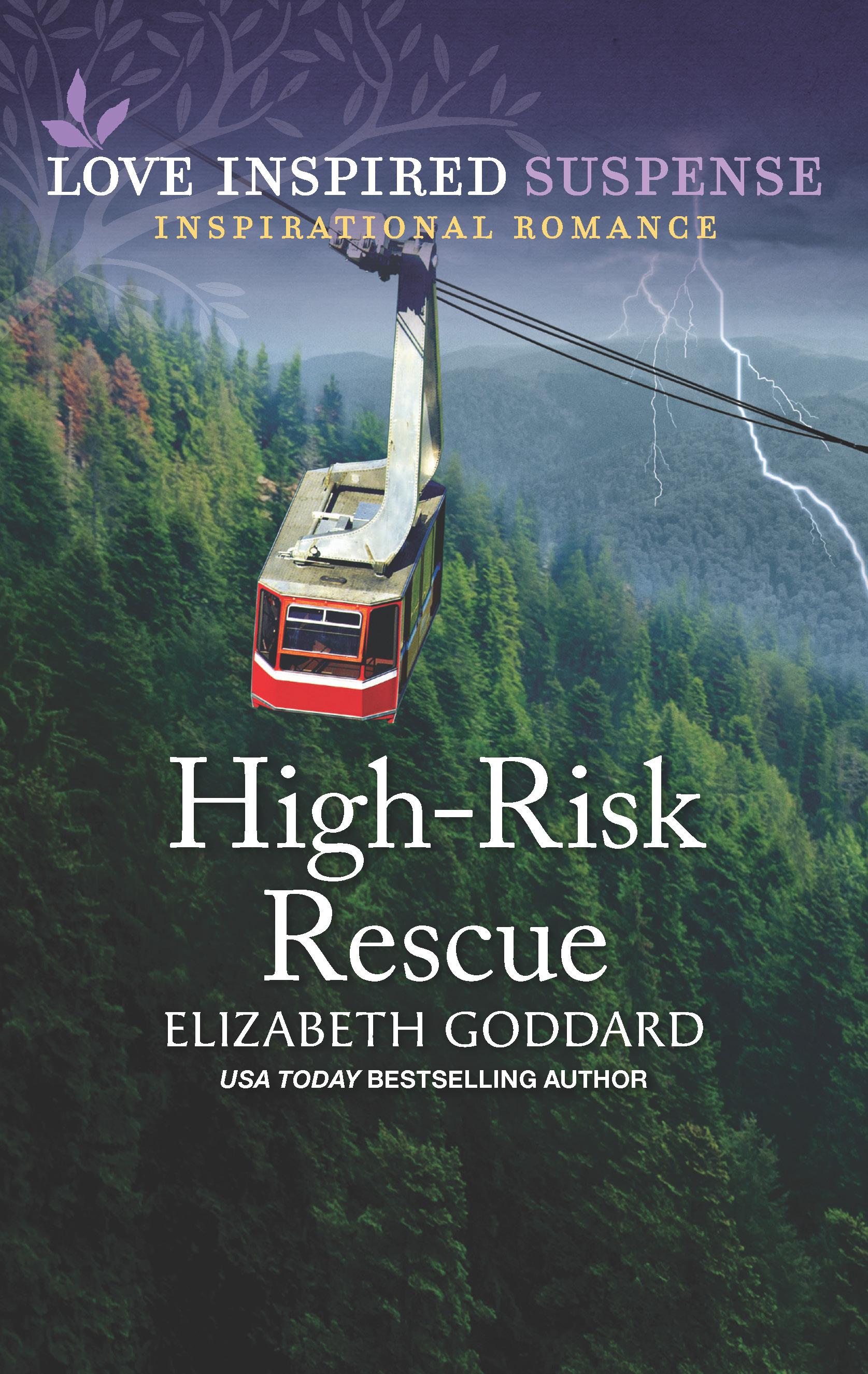 High-Risk Rescue book cover