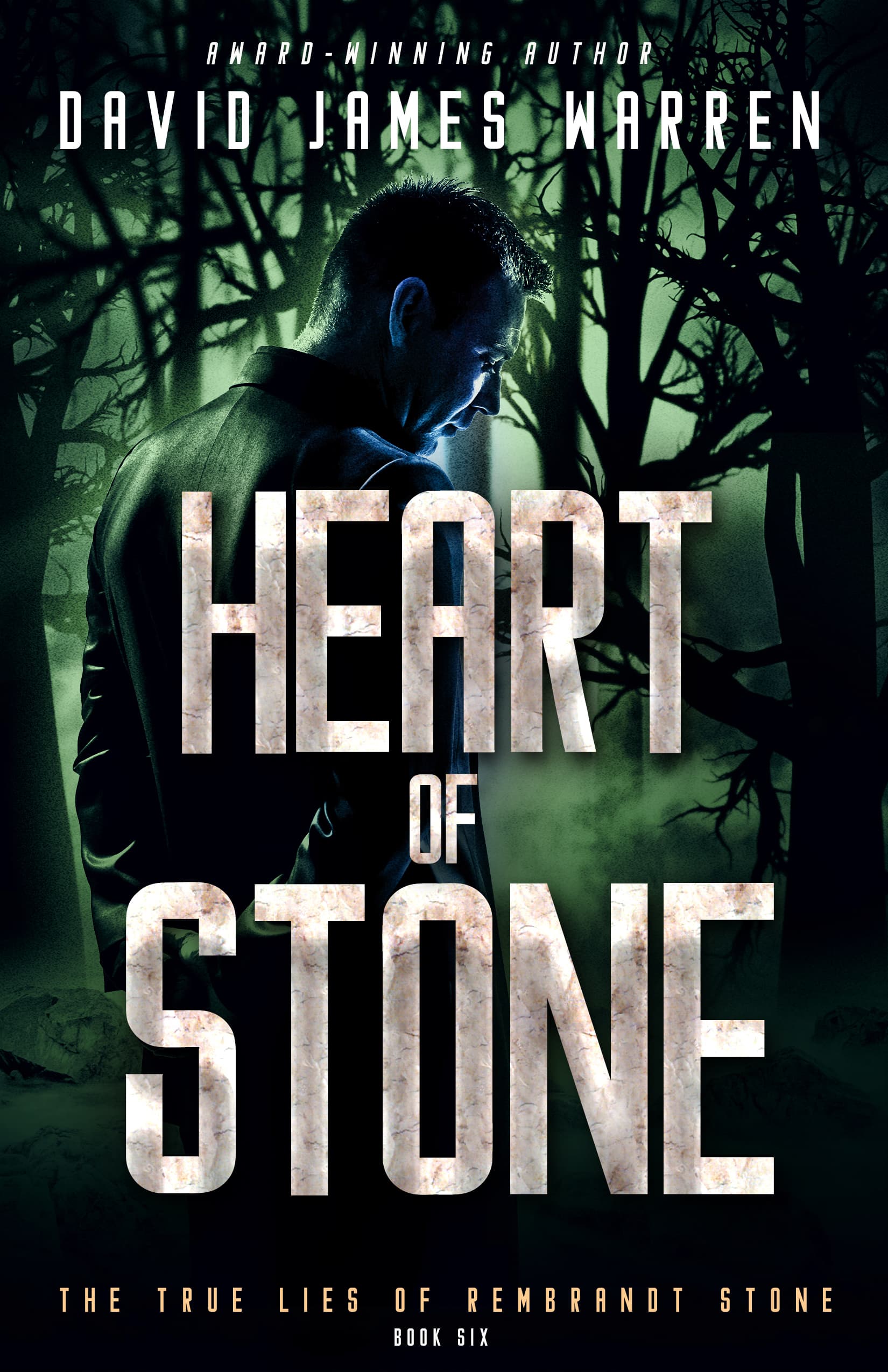 Heart of Stone book cover