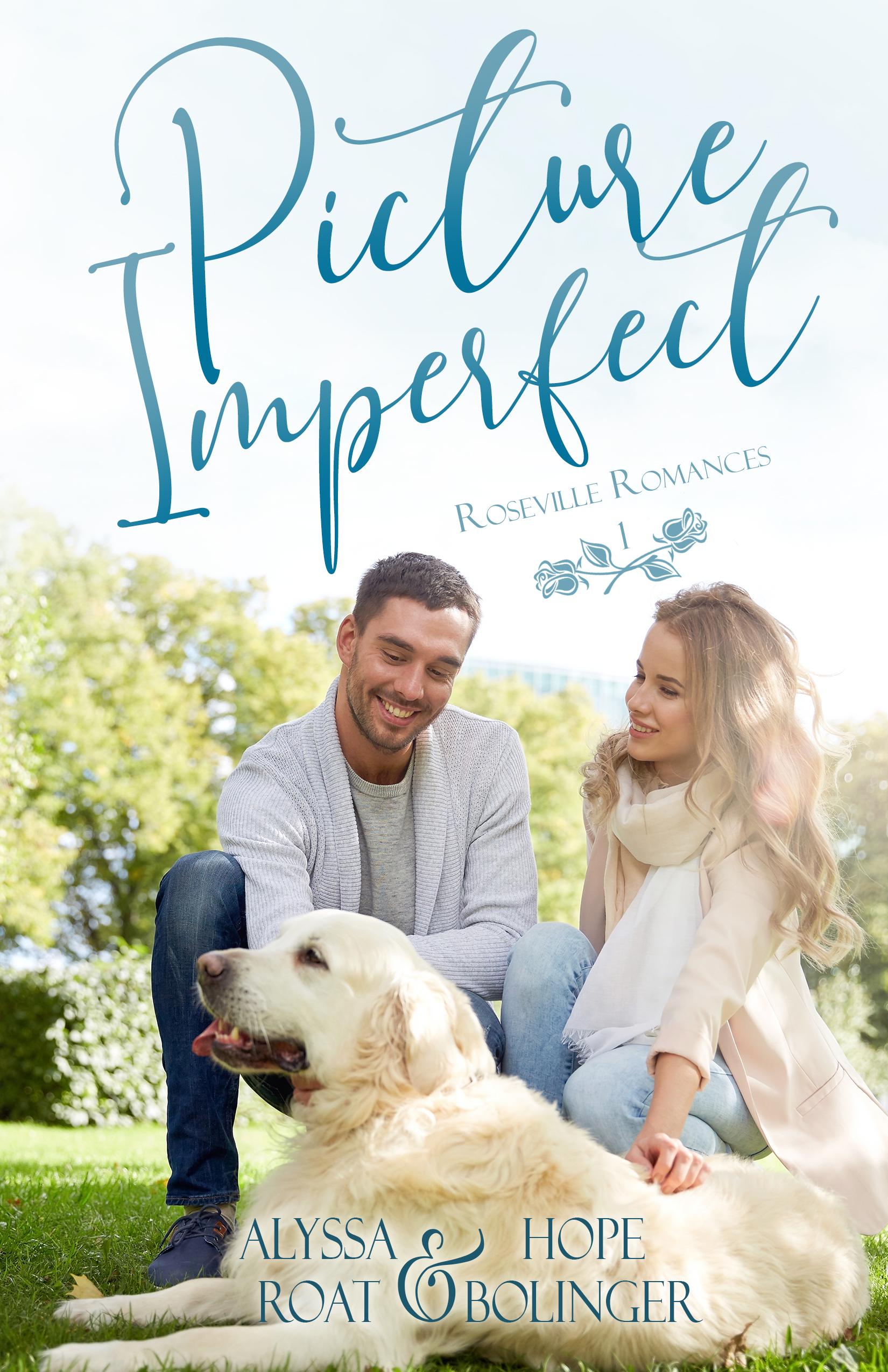 Picture Imperfect book cover