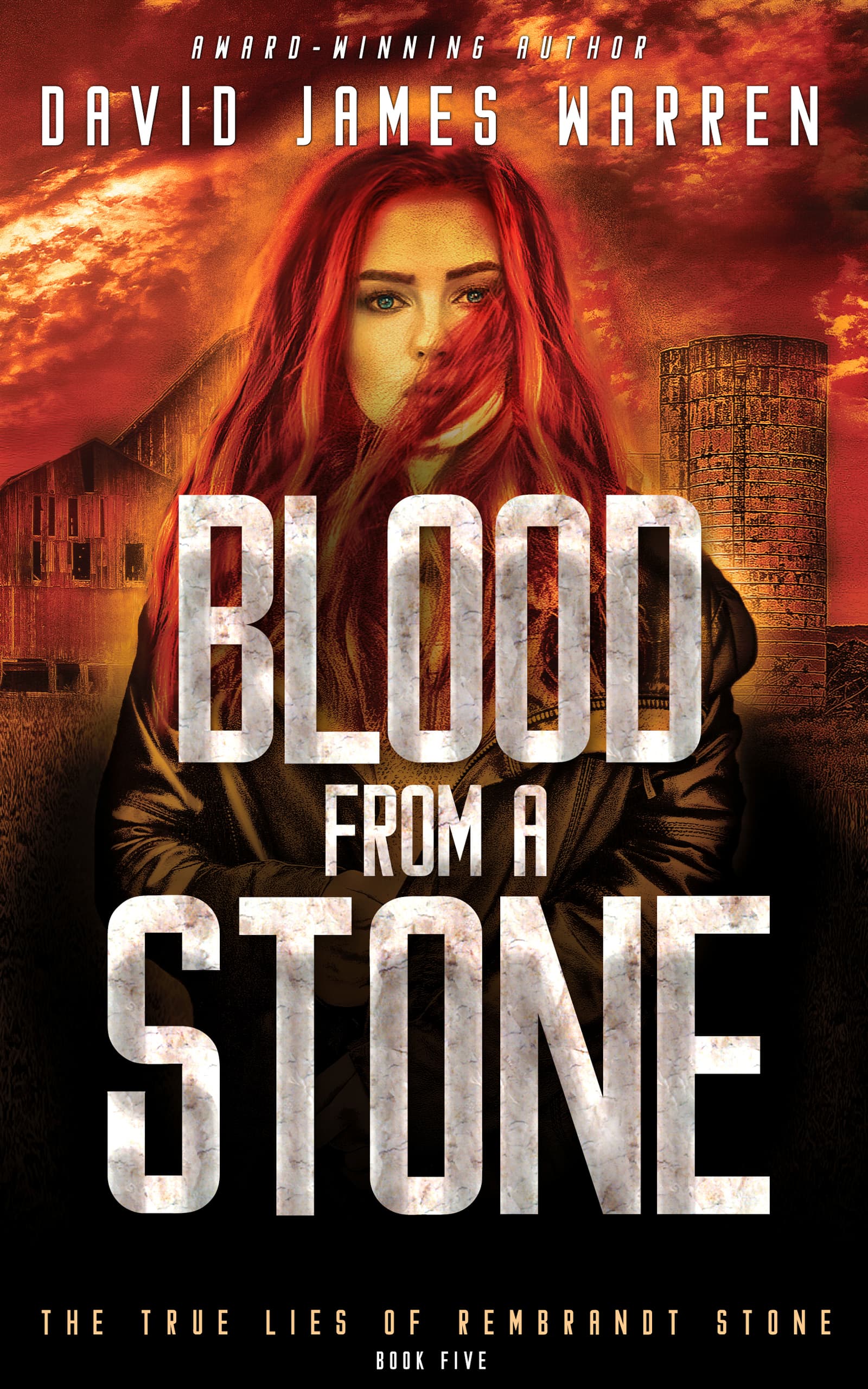 Blood from a Stone book cover