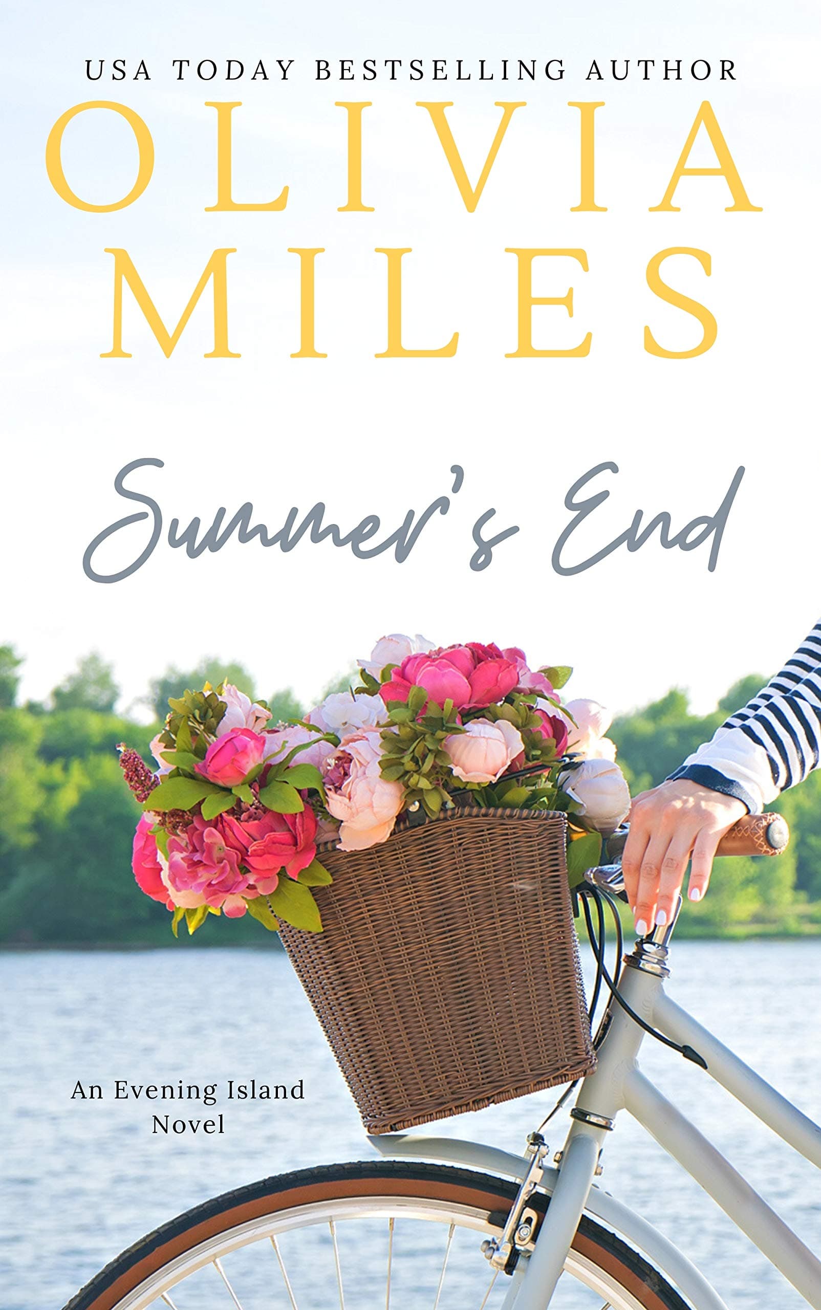 Summer's End book cover