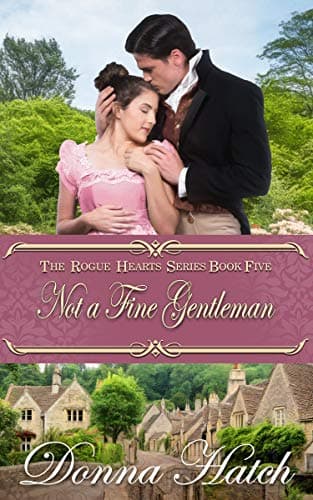 Not a Fine Gentleman book cover