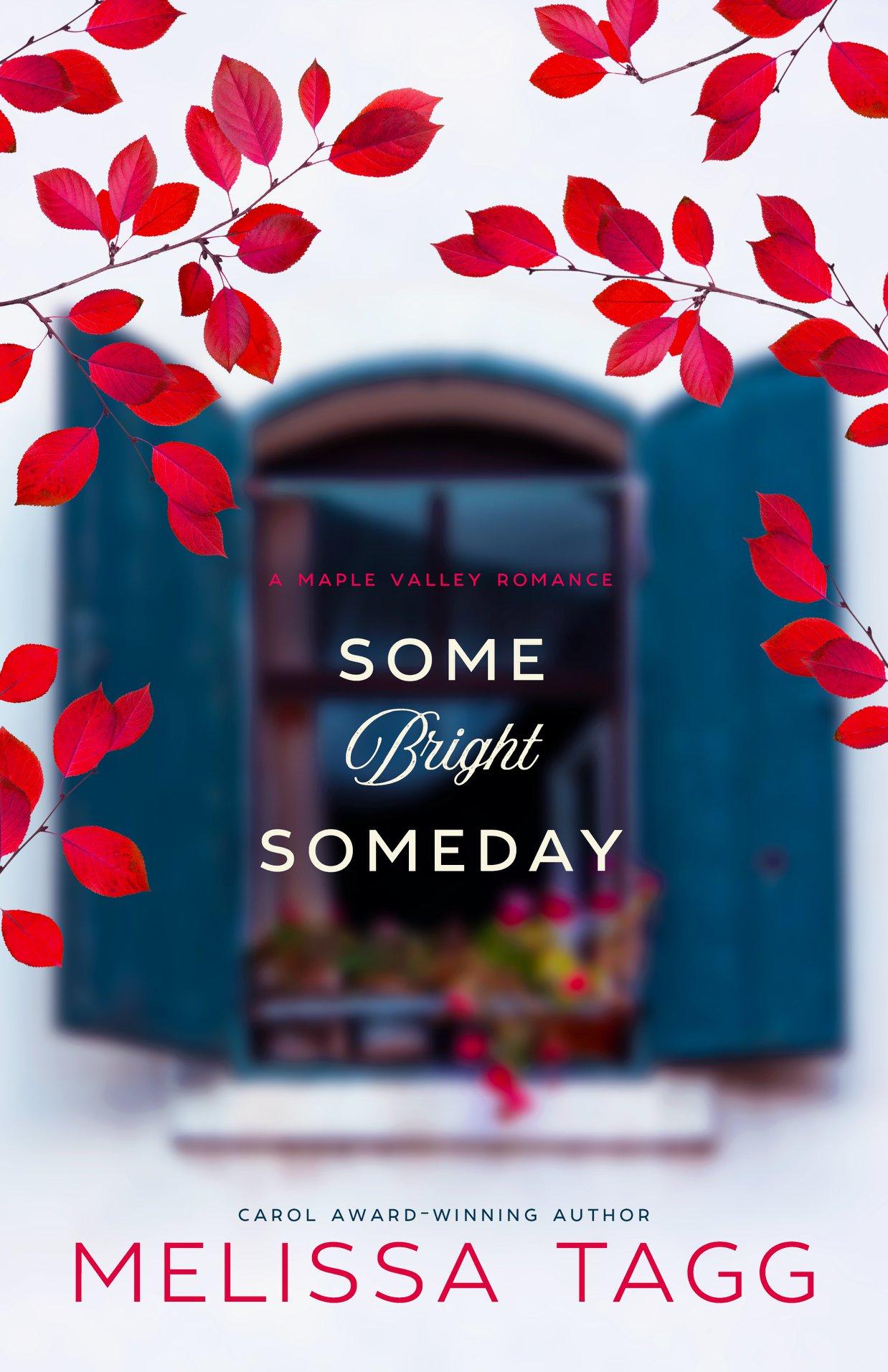 Some Bright Someday book cover