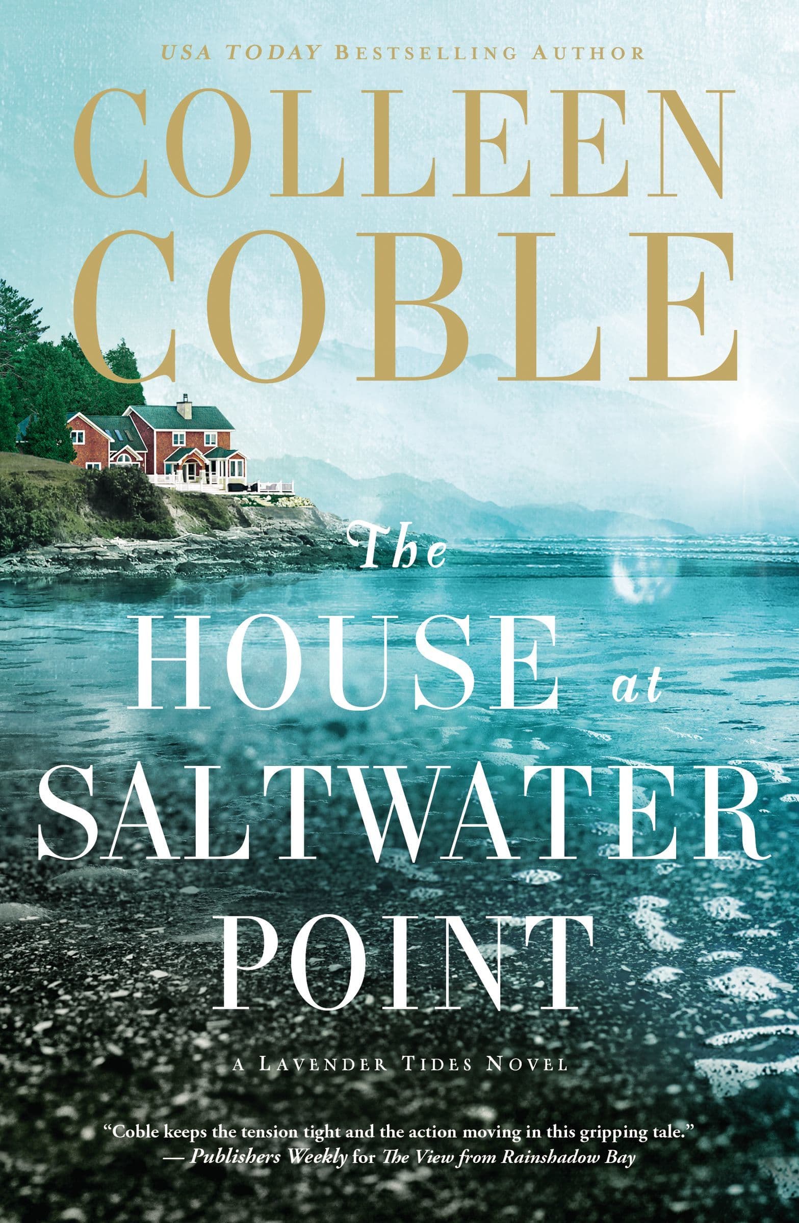 The House at Saltwater Point book cover