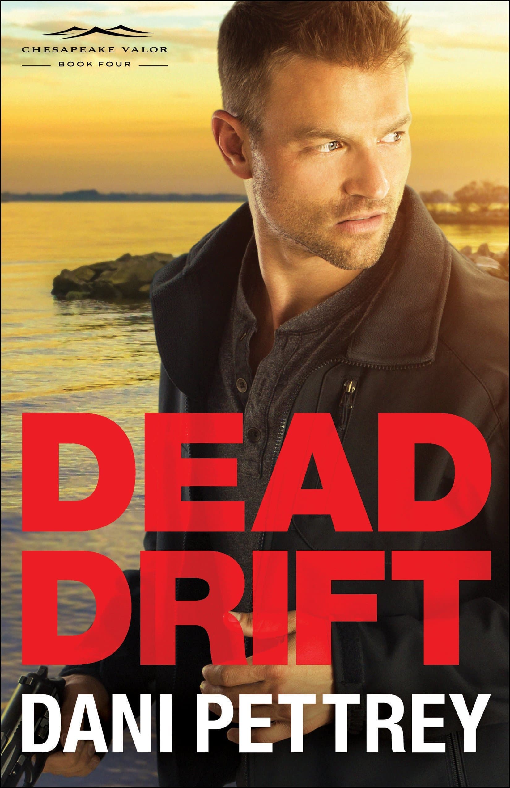 Dead Drift book cover