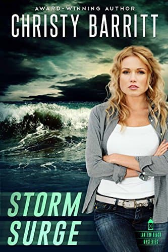 Storm Surge book cover