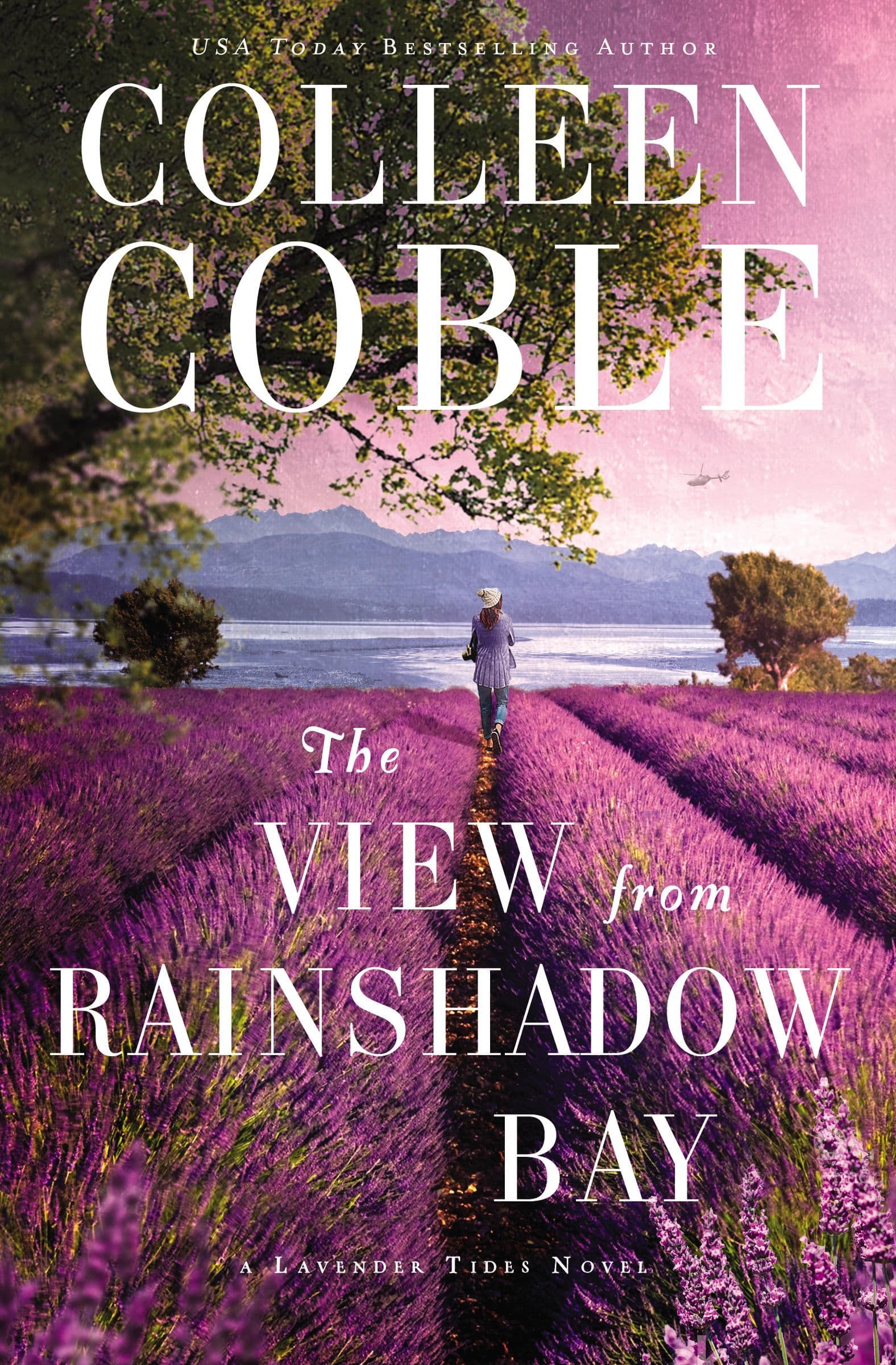 The View from Rainshadow Bay book cover