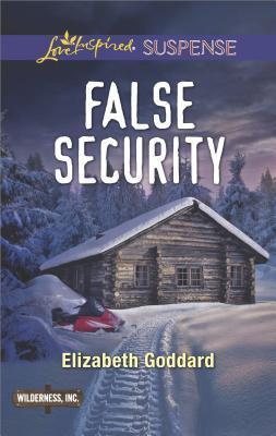 False Security book cover