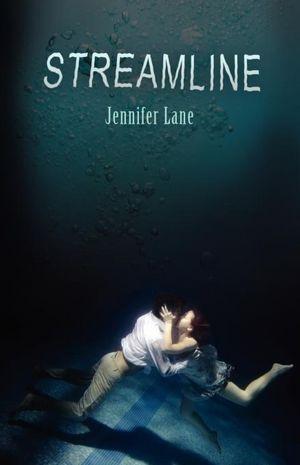 Streamline book cover