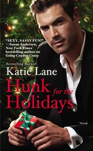 Hunk for the Holidays book cover