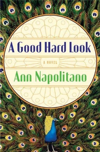 A Good Hard Look book cover