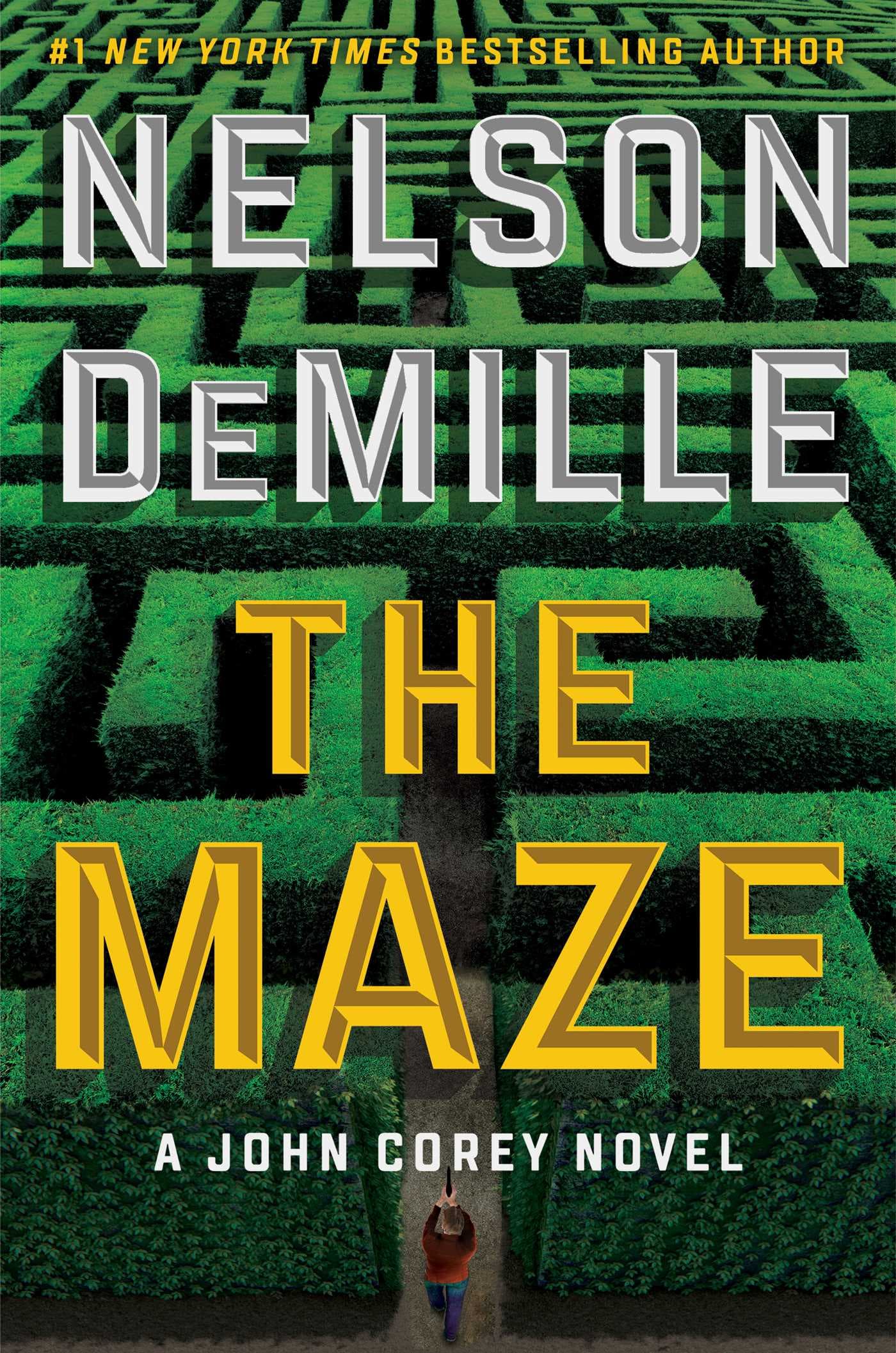 The Maze book cover