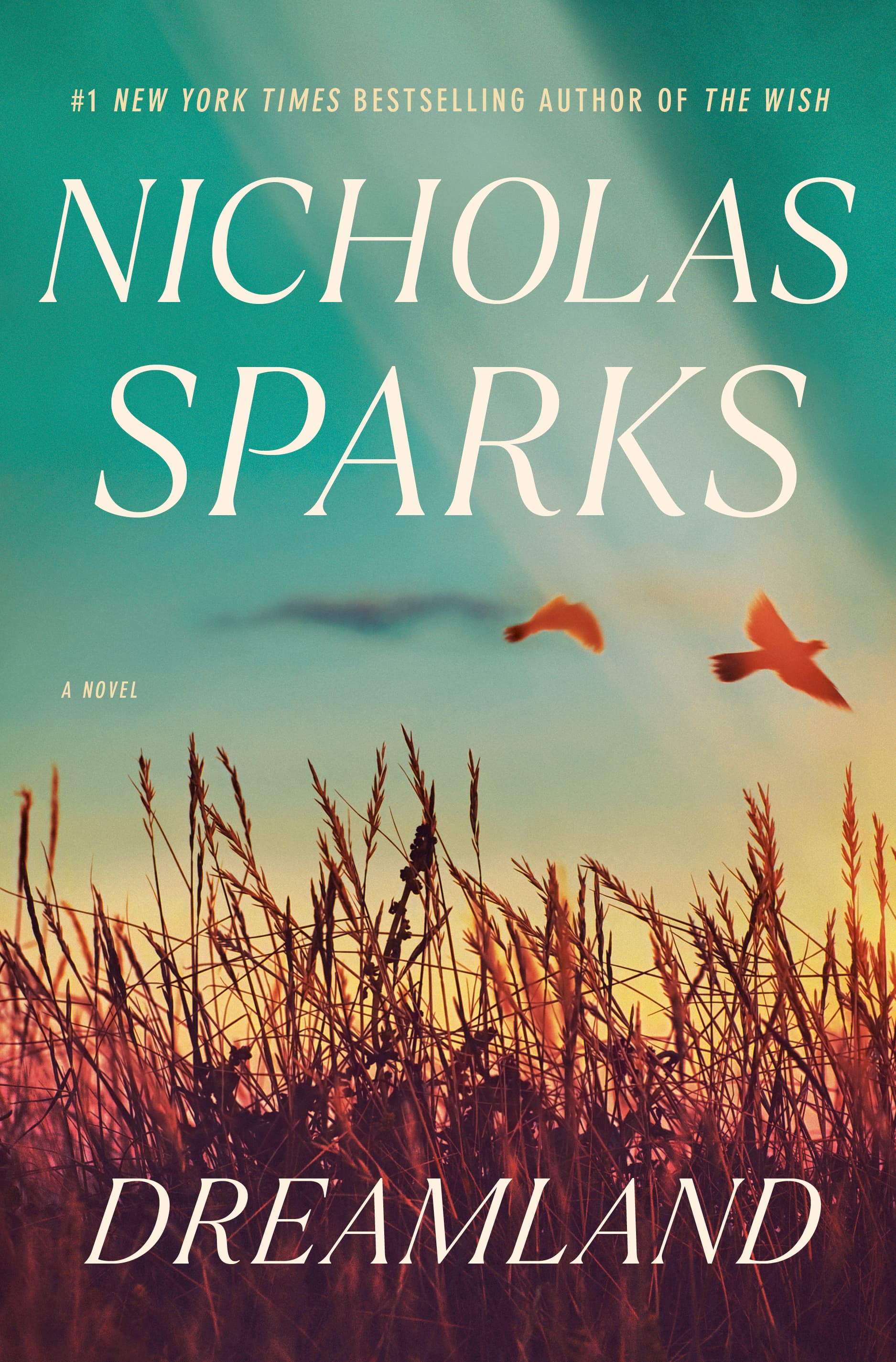 Dreamland book cover