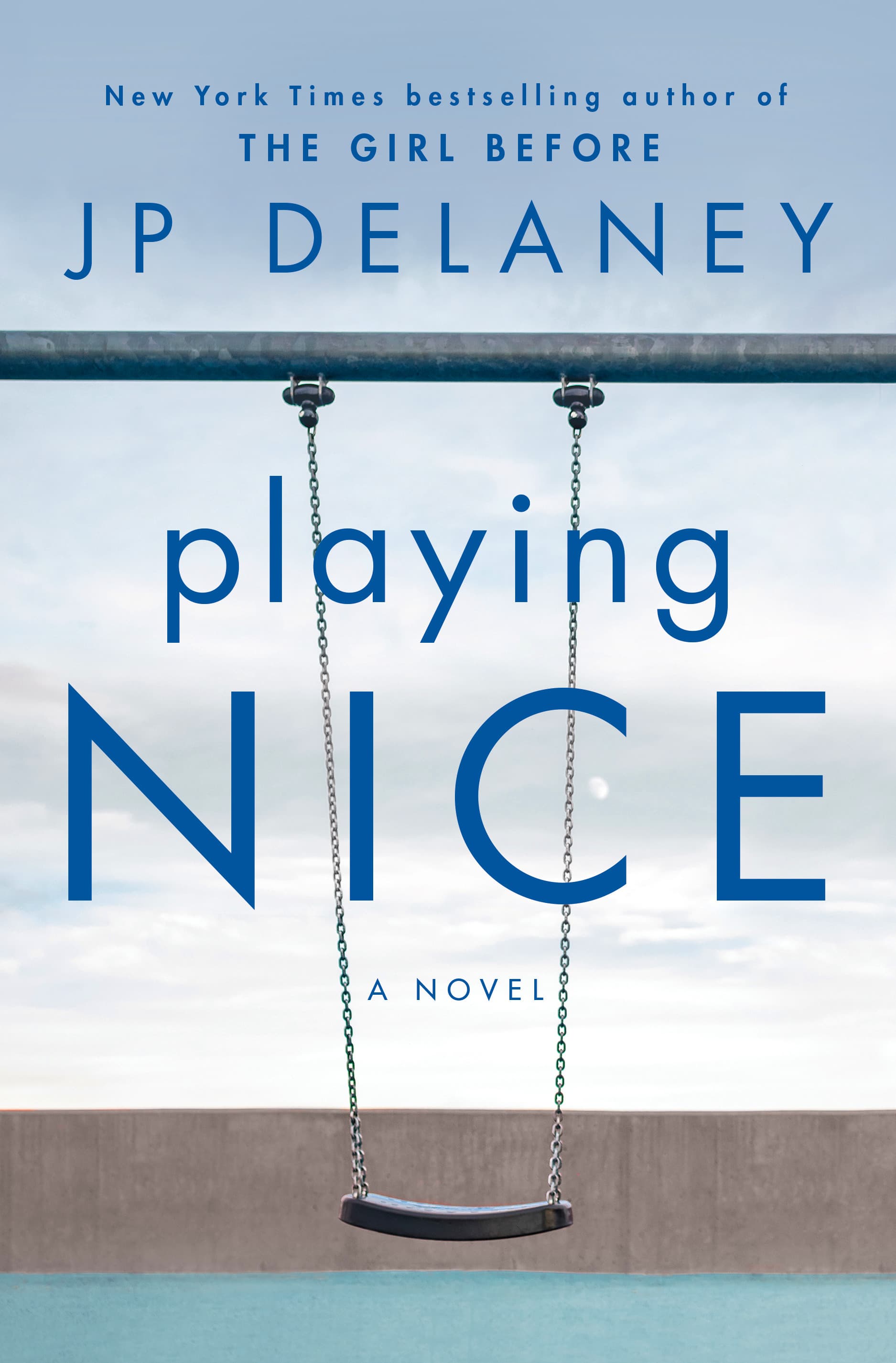 Playing Nice book cover