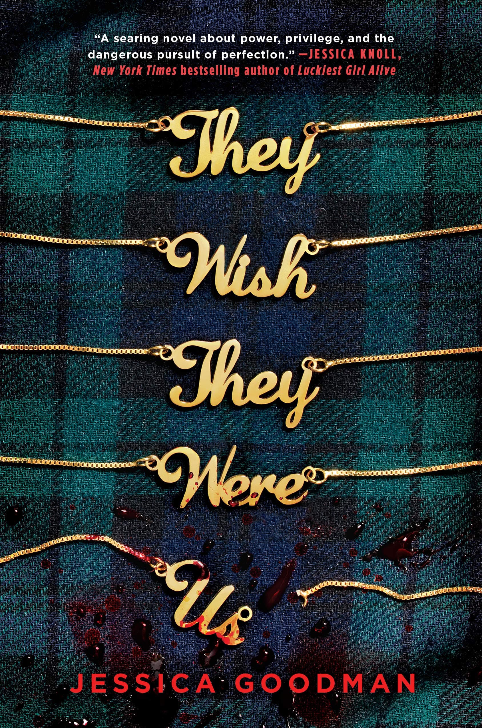 They Wish They Were Us book cover