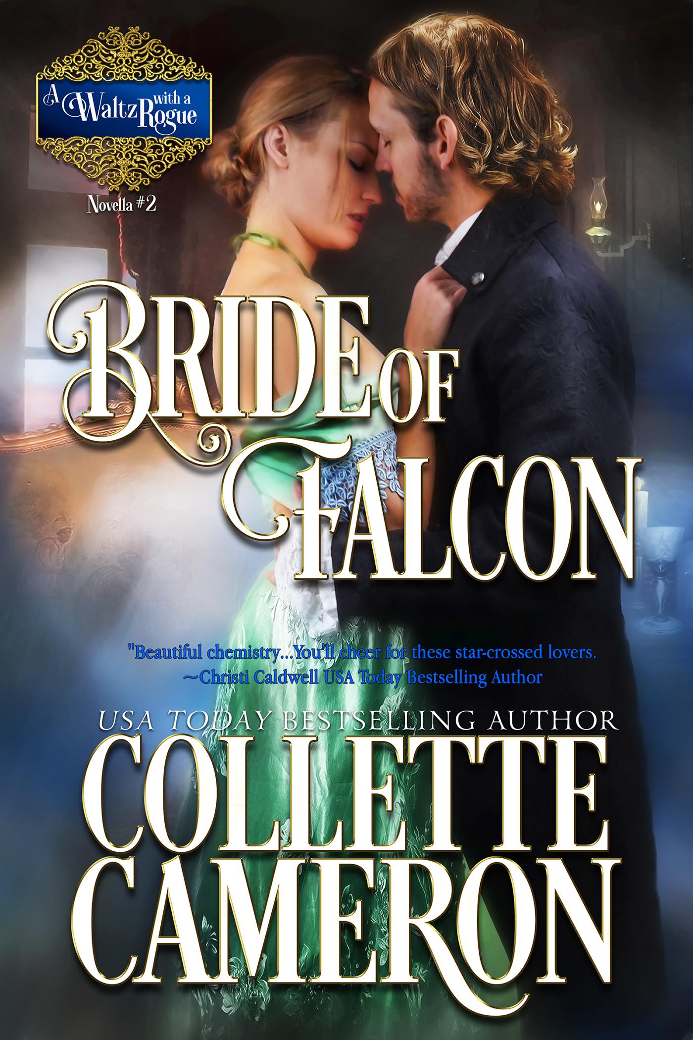 Bride of Falcon book cover